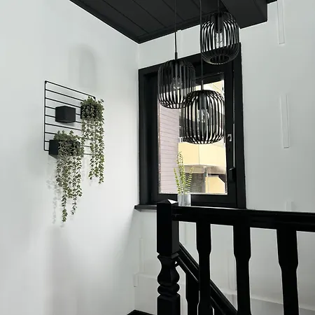 Jacks Naehe Der Seilbahn *