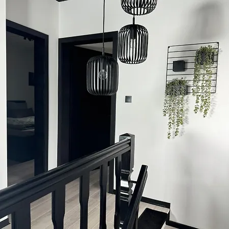 Jacks Naehe Der Seilbahn בראונלאגה