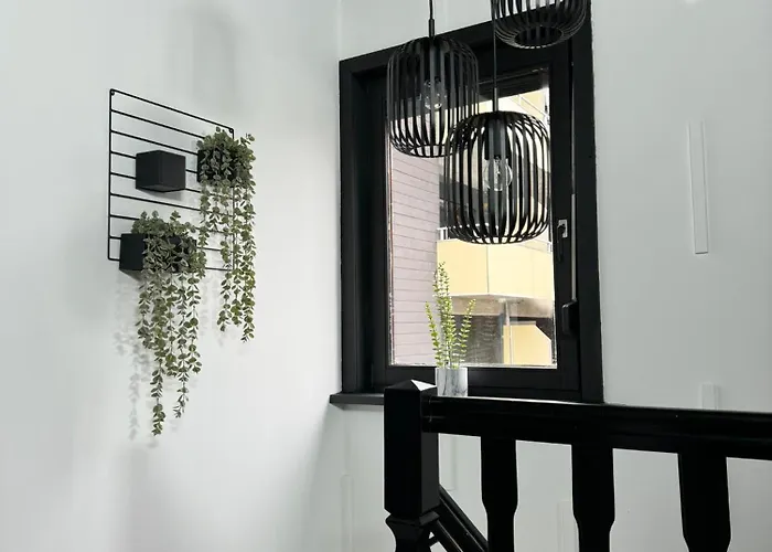 Jacks Naehe Der Seilbahn *